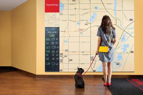 TownePlace Suites by Marriott Houston Hobby Airport — photo 8