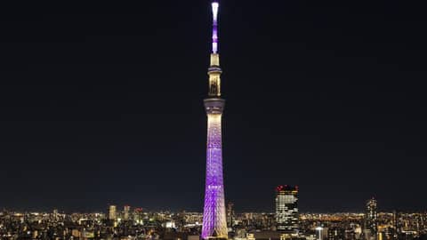 Candeo Hotels Ueno Park — other
