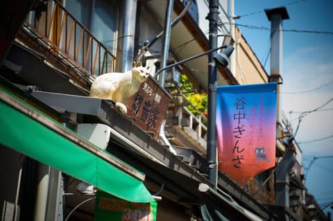 Candeo Hotels Ueno Park — other