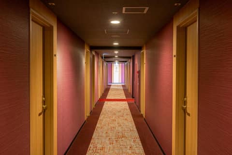 Candeo Hotels Ueno Park — other