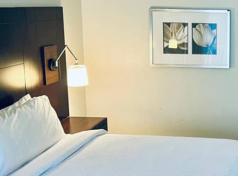Holiday Inn Virginia Beach - Norfolk by IHG — photo 5