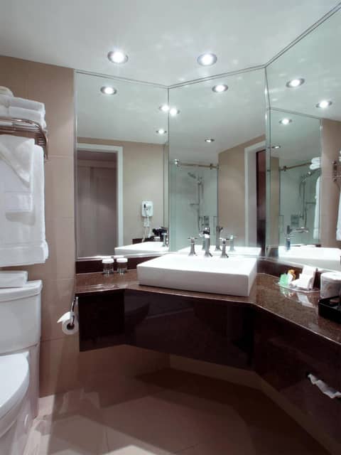 Hotel Manoir Victoria — photo 9