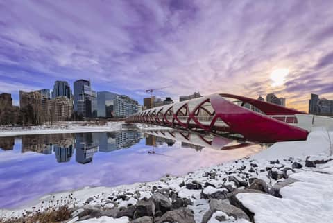 Coast Calgary Downtown Hotel & Suites by APA — photo 7