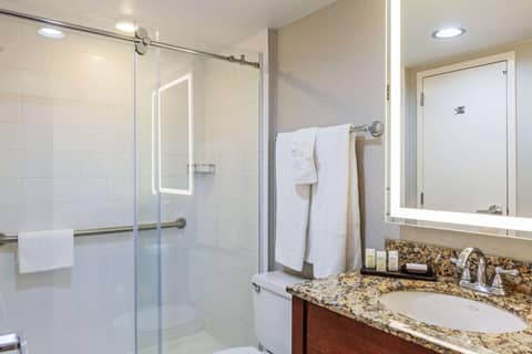 Embassy Suites by Hilton Dallas Market Center — photo 3