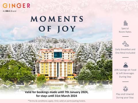 Ginger Bangalore- Whitefield — photo 6