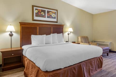 Country Inn & Suites by Radisson, Atlanta Downtown — photo 7