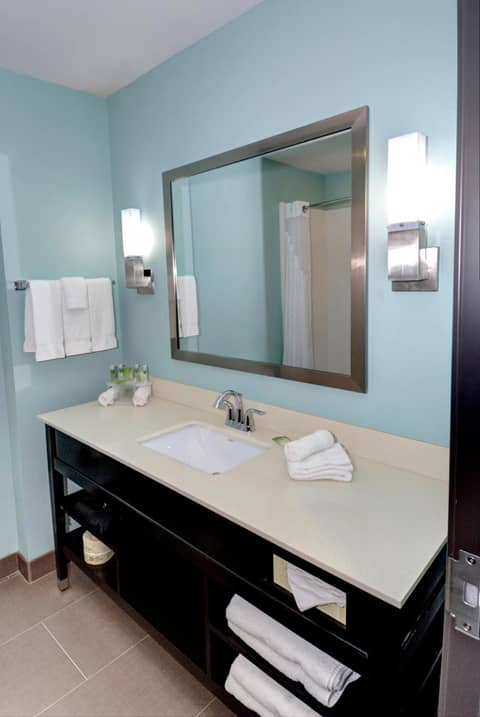Holiday Inn Express & Suites Austin South by IHG — photo 6
