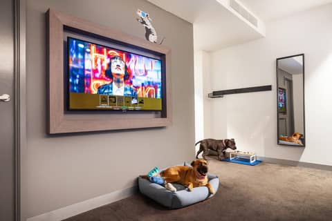 ibis Styles Melbourne Southbank — photo 6