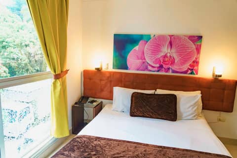 Hotel Boutique las Rosas 5 G — photo 2