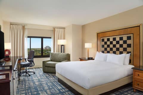 Hilton Orlando Lake Buena Vista - Disney Springs™ Area — photo 9