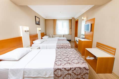 Baron Hotel & Spa — photo 3