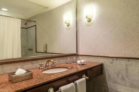 Sheraton Buenos Aires Hotel & Convention Center — photo 6