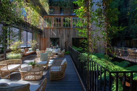 The Mandrake — balance & terrace