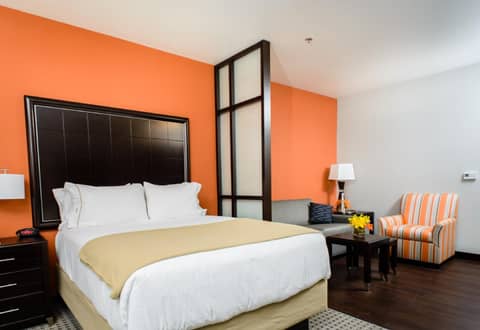 Holiday Inn Express Hotel & Suites Austin NW - Arboretum Area by IHG — photo 8