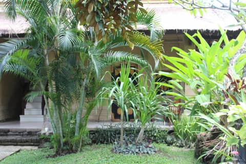 Bali Agung Village — photo 9