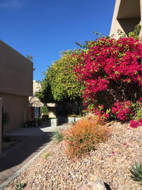 GetAways at Vista Mirage Resort — photo 8