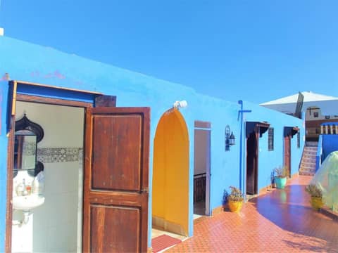 Riad Chennaoui — photo 5