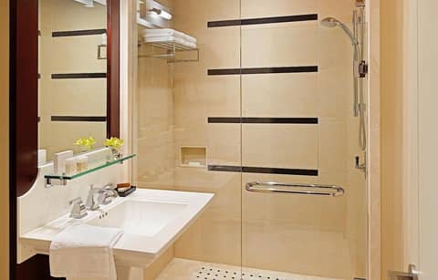 The St. Regis Hotel — photo 2
