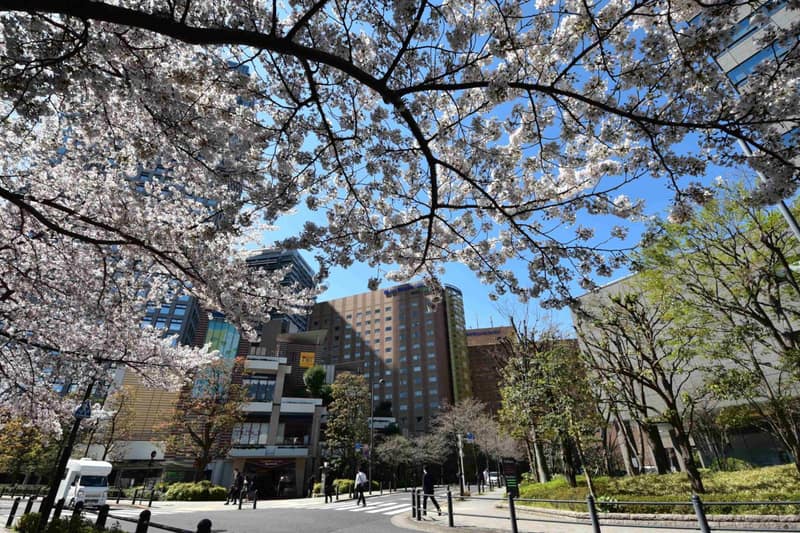 Hotel Metropolitan Edmont Tokyo — building