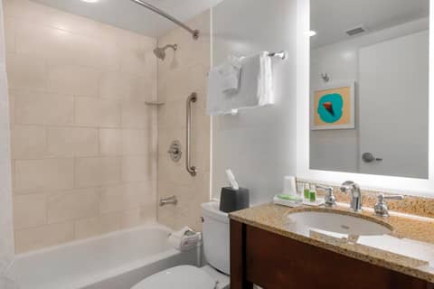 Holiday Inn Orlando – Disney Springs® Area by IHG — bathroom