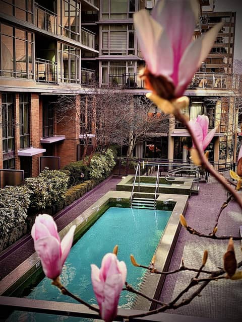 L'Hermitage Hotel — recepcion & lobby