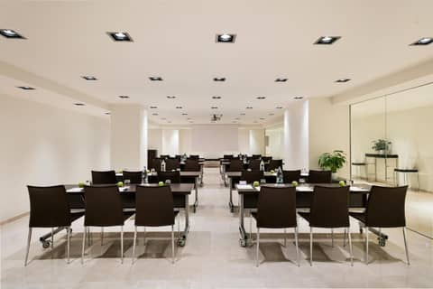 Meliá Madrid Princesa — photo 8