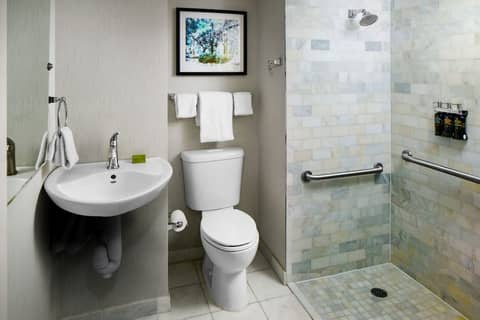 The Desoto Savannah — bathroom