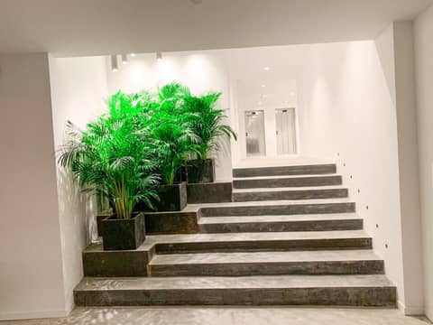 Hotel Paradiso Garden — photo 5