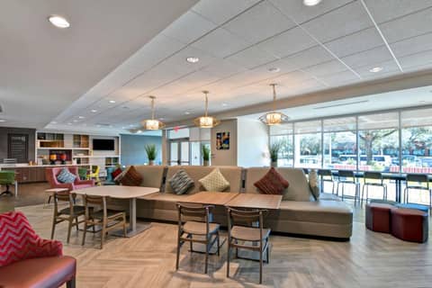 Home2 Suites By Hilton Tampa USF Near Busch Gardens — photo 5