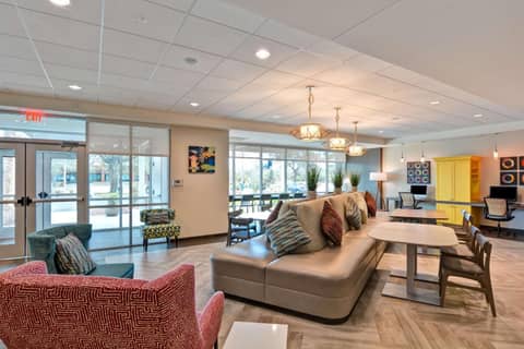 Home2 Suites By Hilton Tampa USF Near Busch Gardens — photo 7