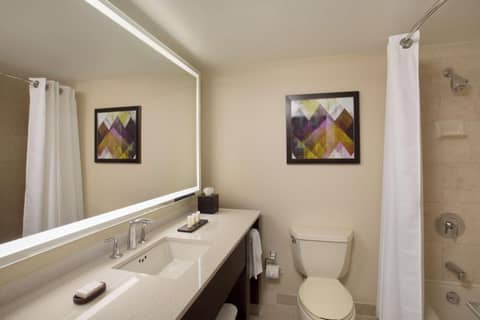 Embassy Suites by Hilton Washington D.C. Georgetown — bathroom
