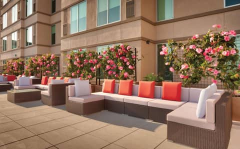 Hyatt House at Anaheim Resort/Convention Center — photo 7