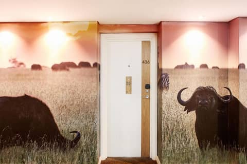President Hotel — photo 4