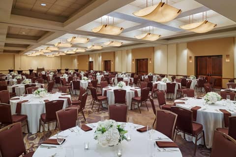DoubleTree by Hilton San Antonio Airport — photo 8
