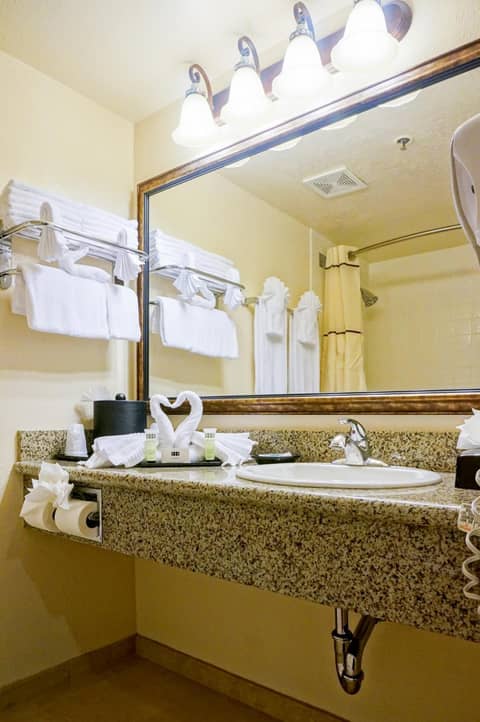 Castle Inn and Suites Anaheim — photo 9