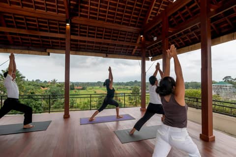 Anumana Ubud Hotel — photo 2