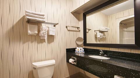 Best Western Plus Travel Hotel Toronto Airport — photo 7