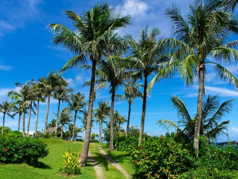 HOTEL MOON BEACH MUSEUM RESORT — photo 2