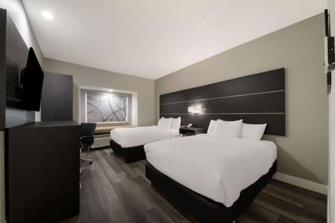 Best Western SeaWorld San Antonio — photo 8