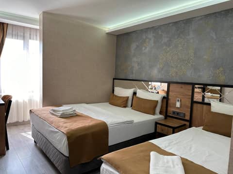 Boutique Dedem Hotel Sultanahmet — photo 4