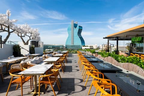 Dolce by Wyndham Hollywood — photo 8