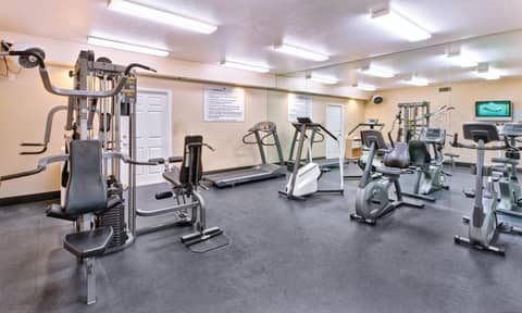 Club Wyndham Dolphin's Cove — activities & amenities