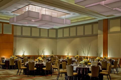 Hyatt Regency McCormick Place Chicago — photo 6