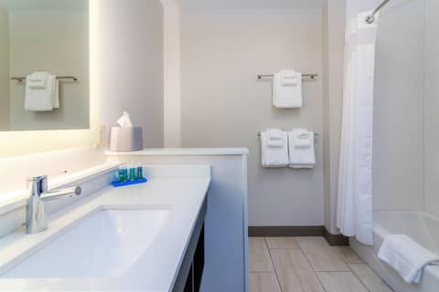 Holiday Inn Express & Suites Allen Park by IHG — photo 9