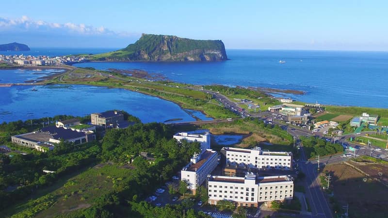Playce Camp Jeju — building