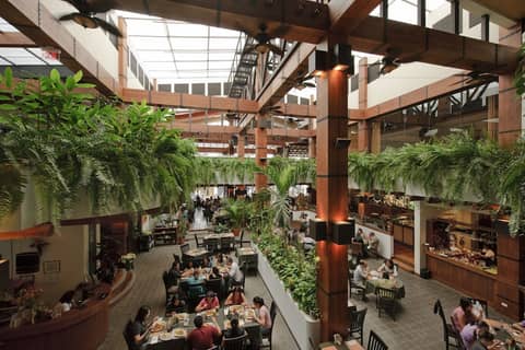 Balmoral Suites — dining
