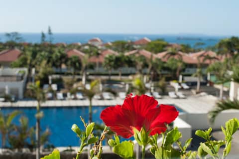 Kanucha Bay Hotel & Villas — photo 5
