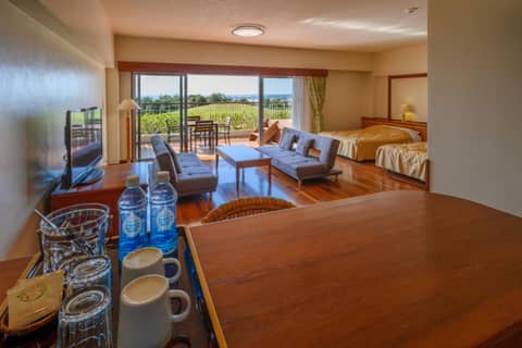 Kanucha Bay Hotel & Villas — photo 8