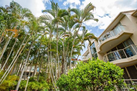 Miami Beachside Holiday Apartments — photo 8