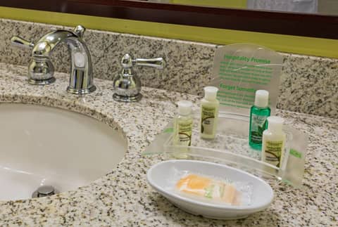 Holiday Inn Hotel French Quarter-Chateau Lemoyne by IHG — photo 9